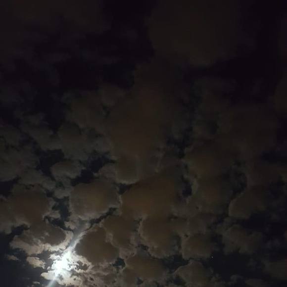 Meet your Posher, Virgina - Picture 1 of 1